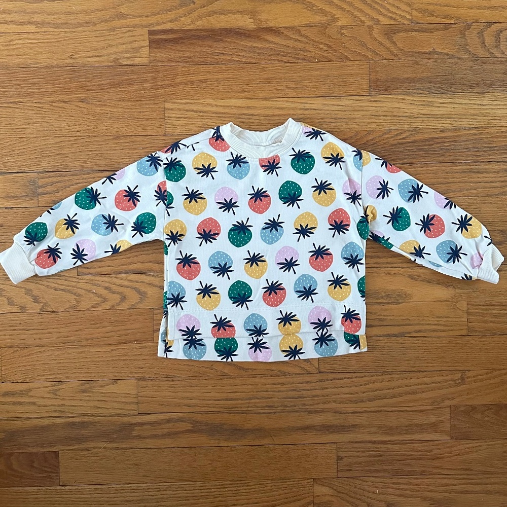 Hanna Andersson Terry Print Sweatshirt 3T 🍓